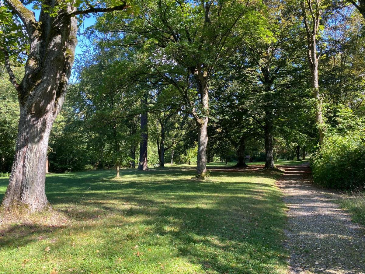 Exklusives In Lage Mit Pool, Sauna, Terrasse - Der Johannishof